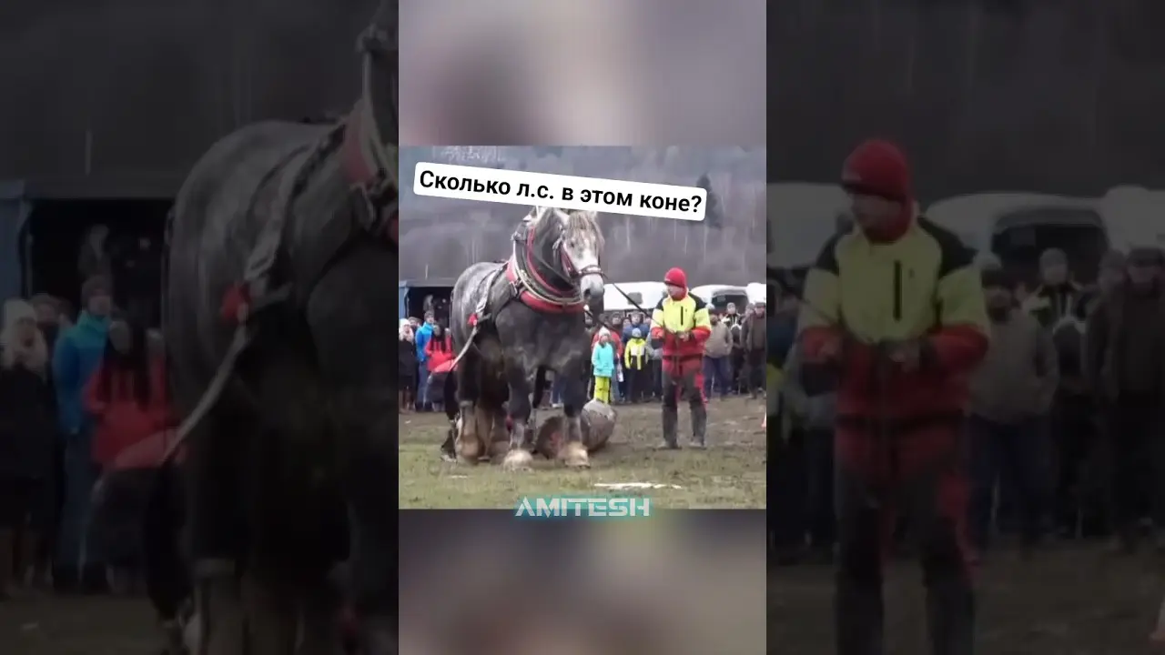 Сколько л.с. в этом коне? #амитеш #технологии