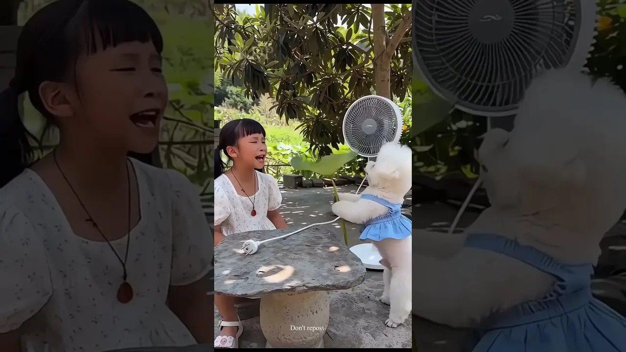 dog fan chala do