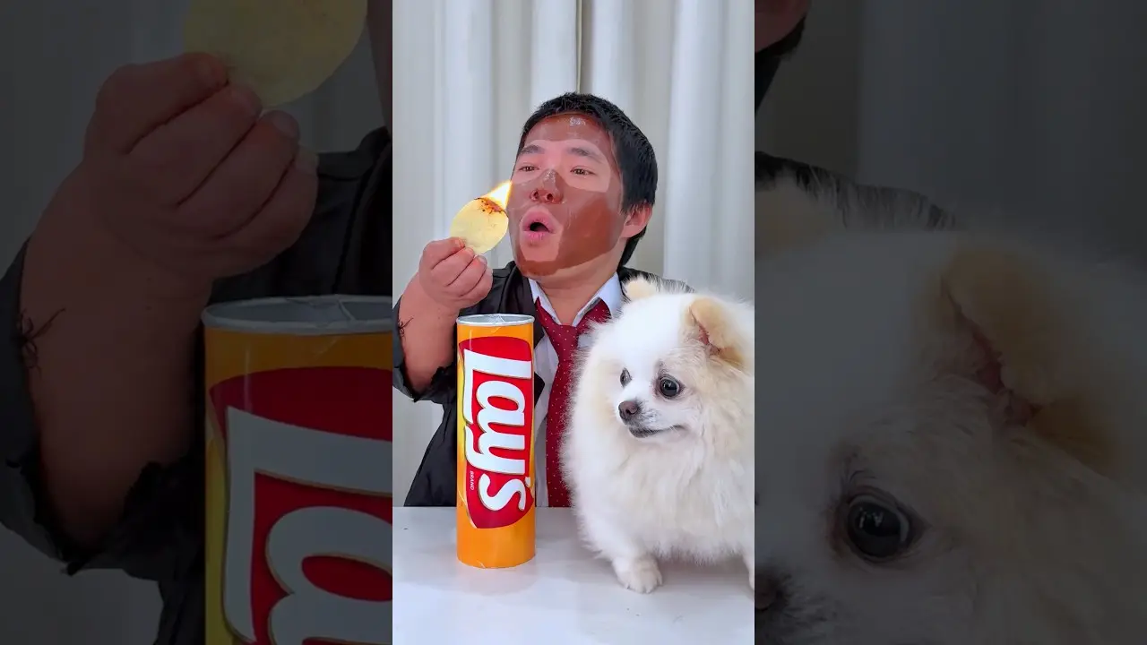 Thank you pupie❤️🐶 ありがとう、子犬ちゃん❤️🐶