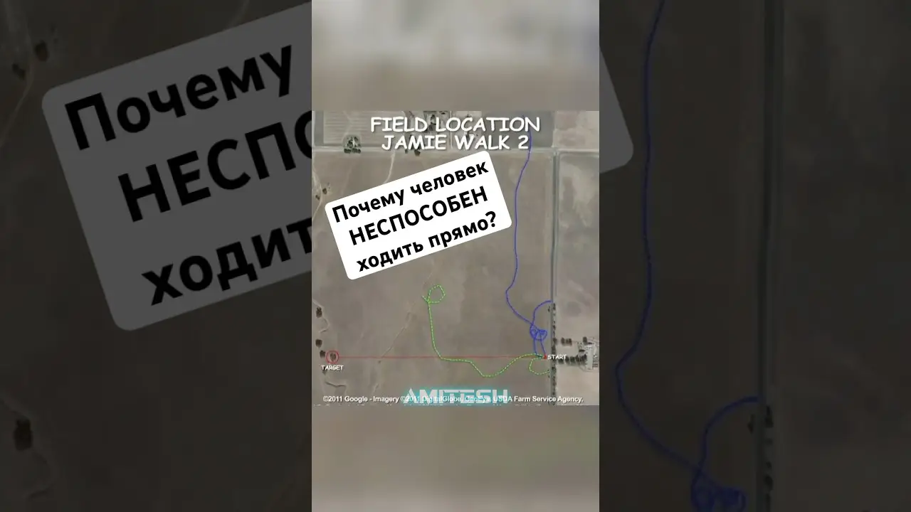 Почему человек НЕСПОСОБЕН ходить прямо?! #амитеш #факты