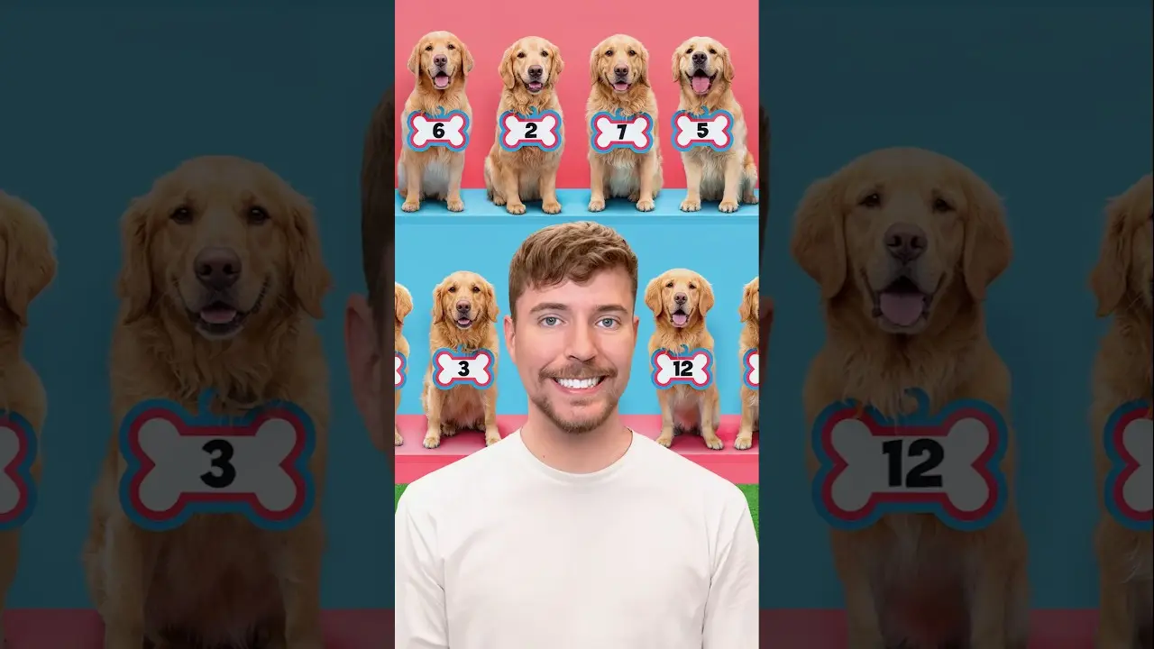 Find Your Dog, Win $10,000