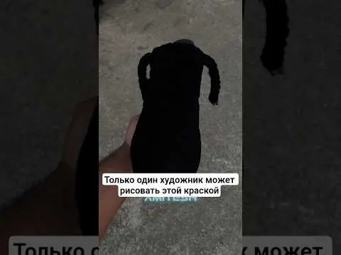 Только один художник может рисовать этой краской #амитеш #история