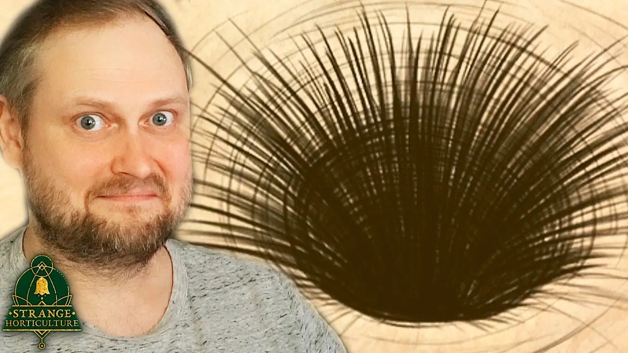 ФИНАЛ ► Strange Horticulture #7