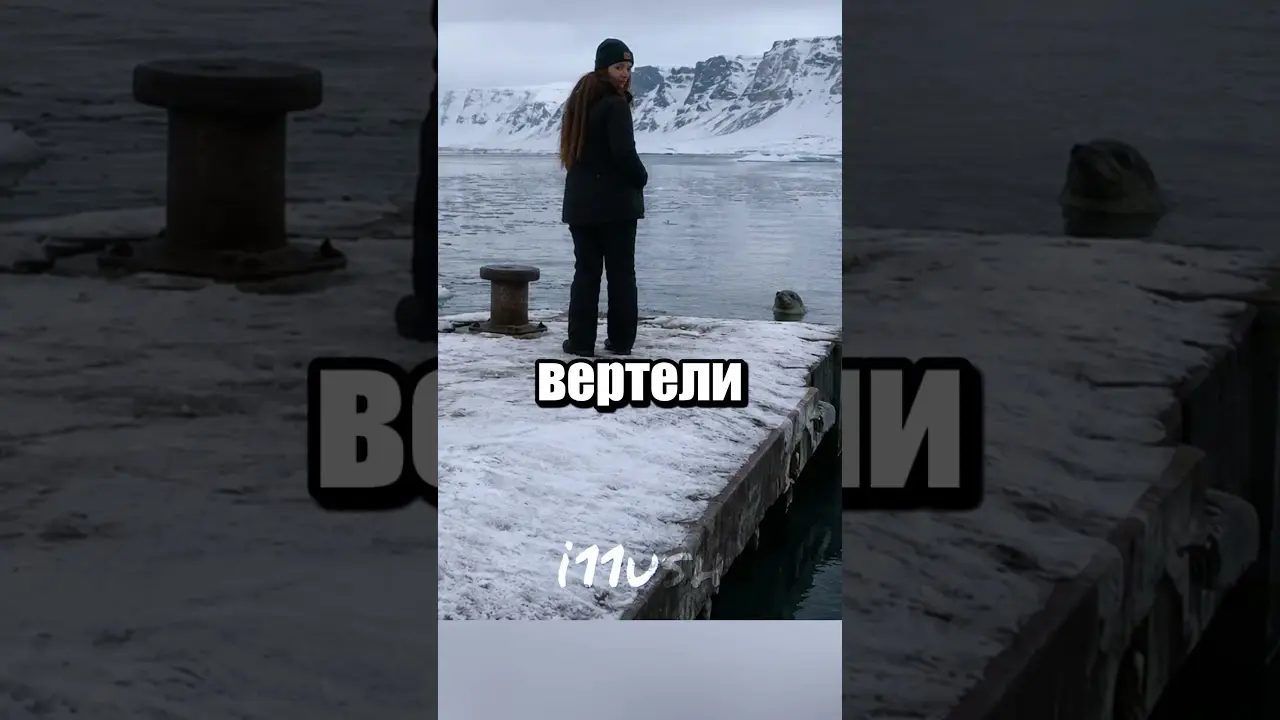 Морские леопарды: интересное исключение из милого семейства 🦭