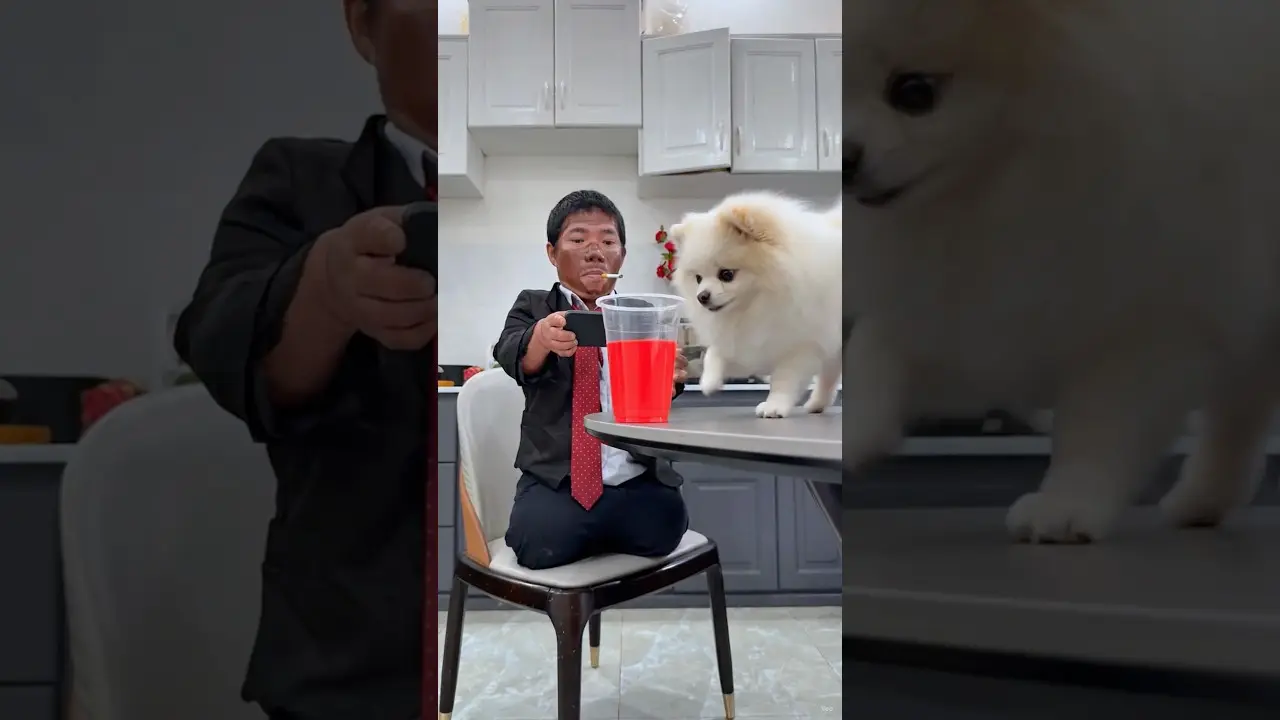I didn’t expect Pupie to be able to outsmart me #BlockBlast #puppies 子犬が私を出し抜くとは思っていなかった #BlockBlast