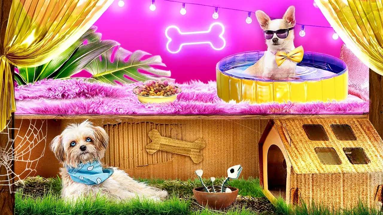 Богатая vs бедная собака! Мы построили секретные домики для собак!