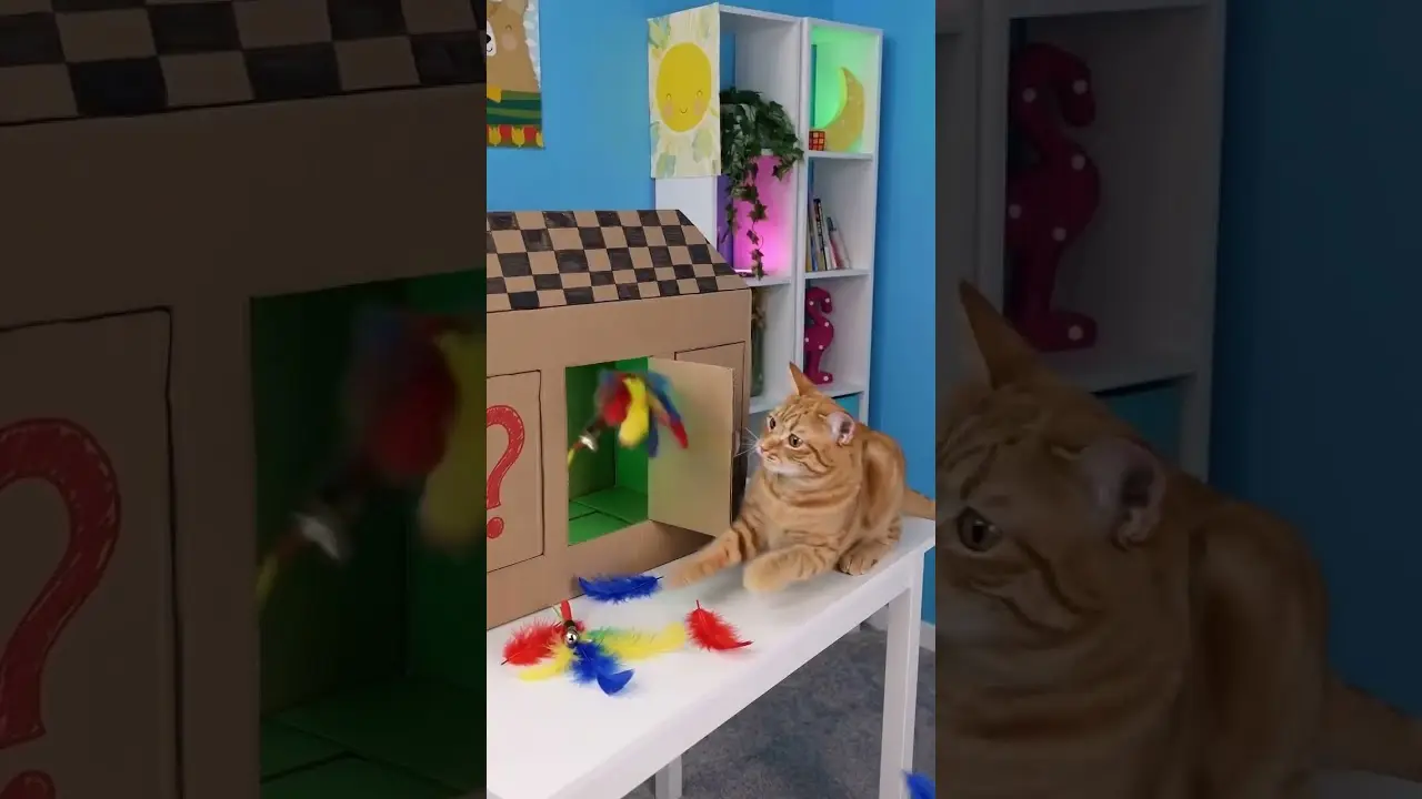🐱 Mystery Doors! What Will the Cat Discover? 😺✨ #shorts #fun