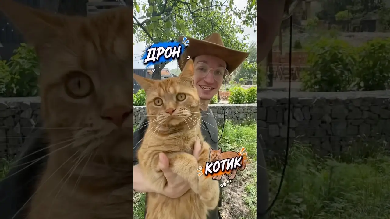 Дрон или Котик? #симбочка #симба #симбочкапимпочка