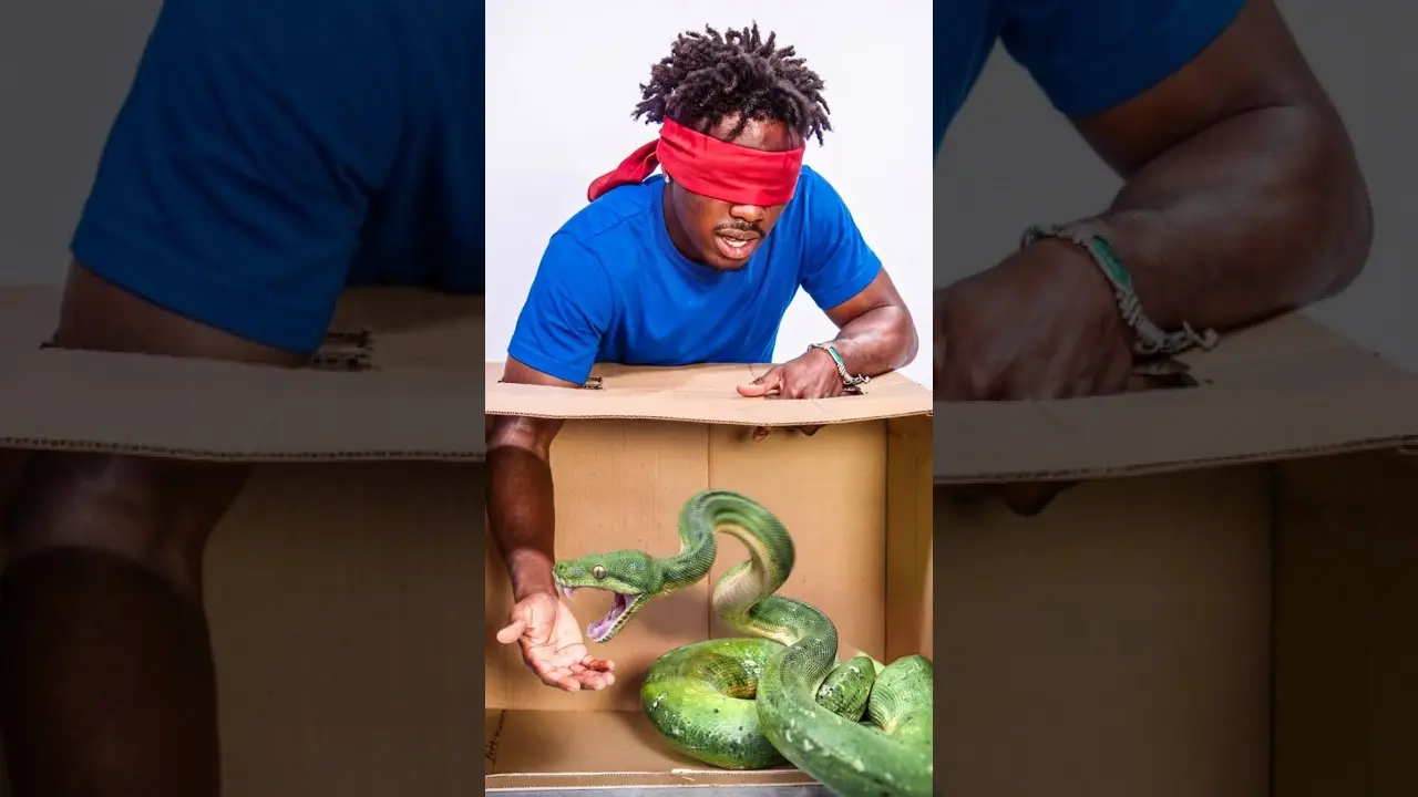 EXTREME WHATS IN THE BOX CHALLENGE!