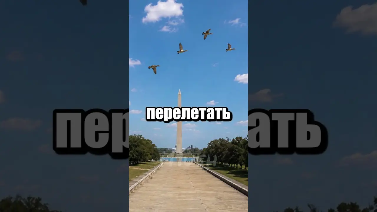 Бассейн Трампа: финал?